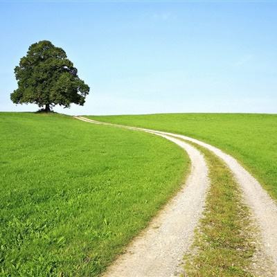 b体育官方app下载下载手机版