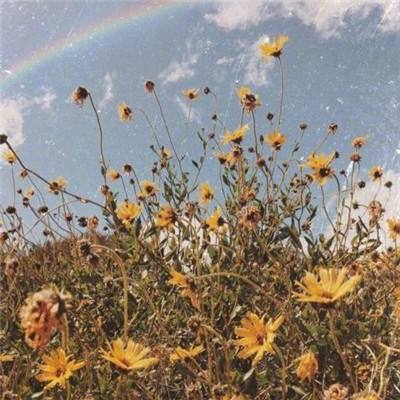 半岛·综合体育中国