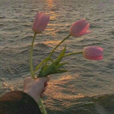 半岛·综合体育中国截图