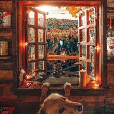 皇冠正规娱乐平台(官方)