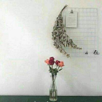 LDSports乐动体育