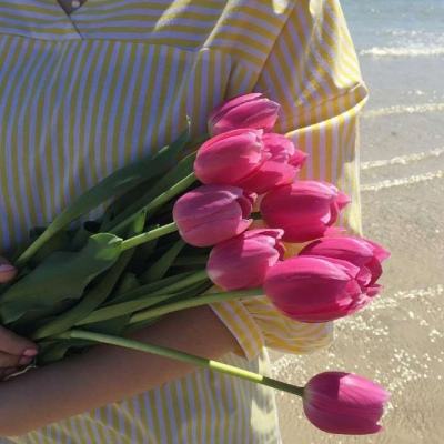 米乐·M6下载手机版